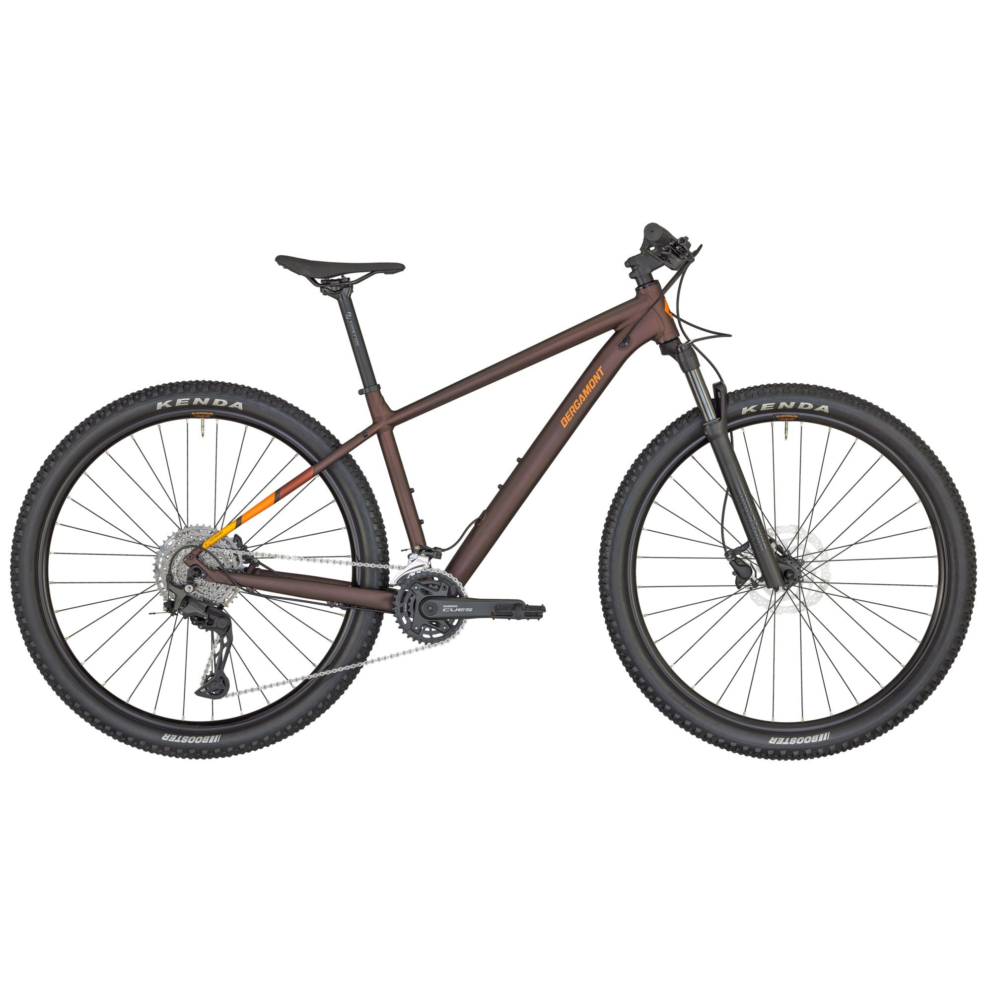 bergamont mountainbike 24 Bergamont Revox 7| 50% Rabatt| auf Evolution Bikes – Evolution Bikes IT