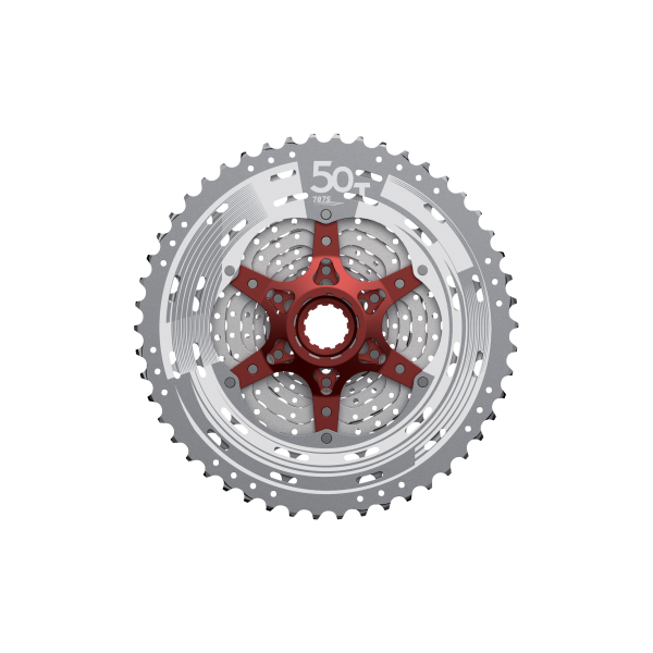 Cassette Campagnolo per biciclette per Da corsa da 11 velocità | Acquisti Online su