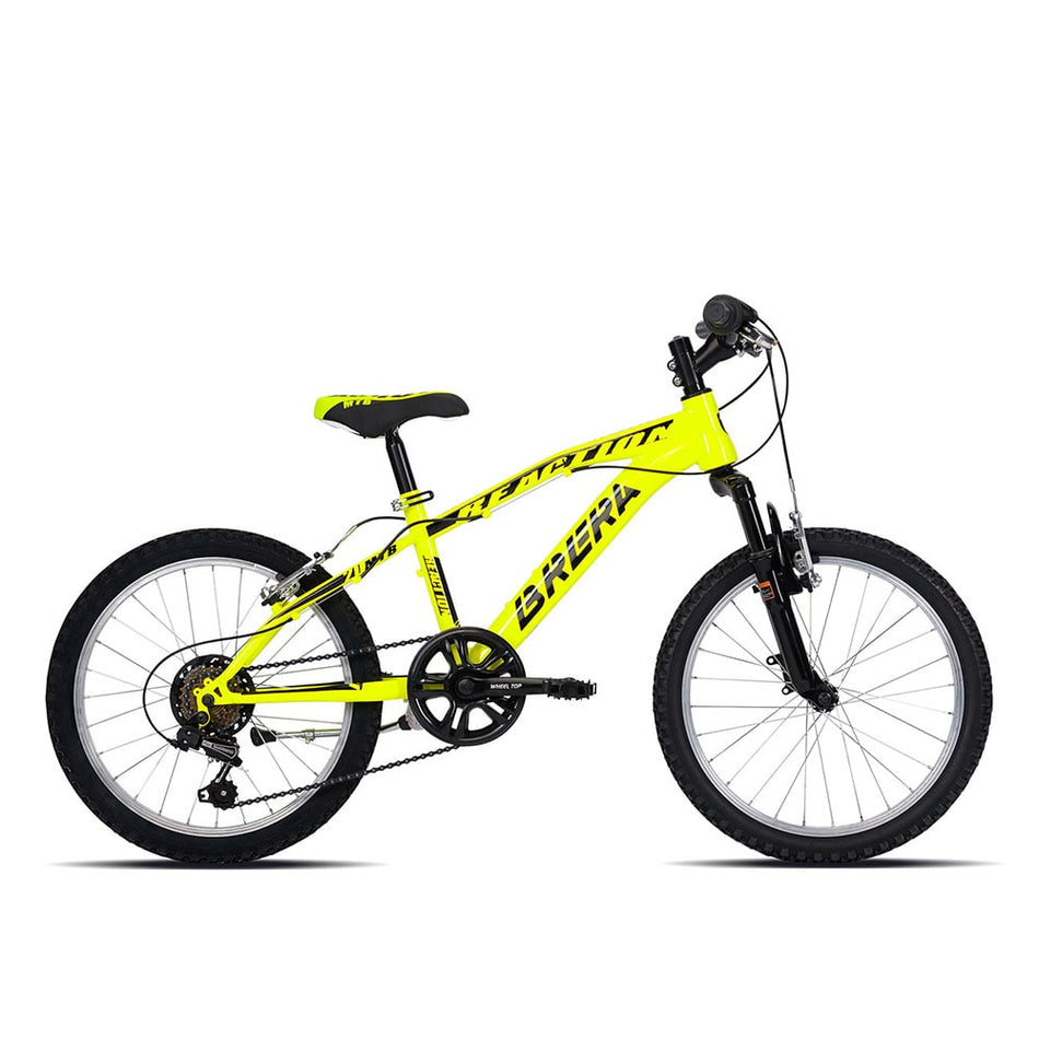 Brera REACTION 20" 6V