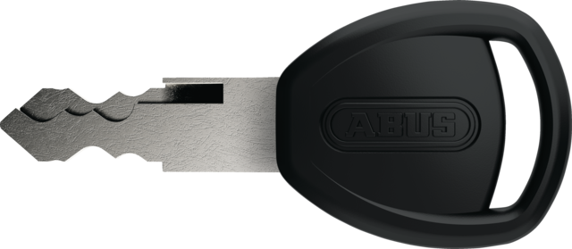 Lucchetto a Catena Abus Iven Chain 8210/110