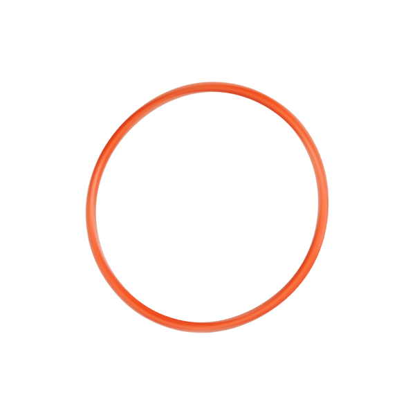 Bosch - Guarnizione coperchio batteria Intuvia 100