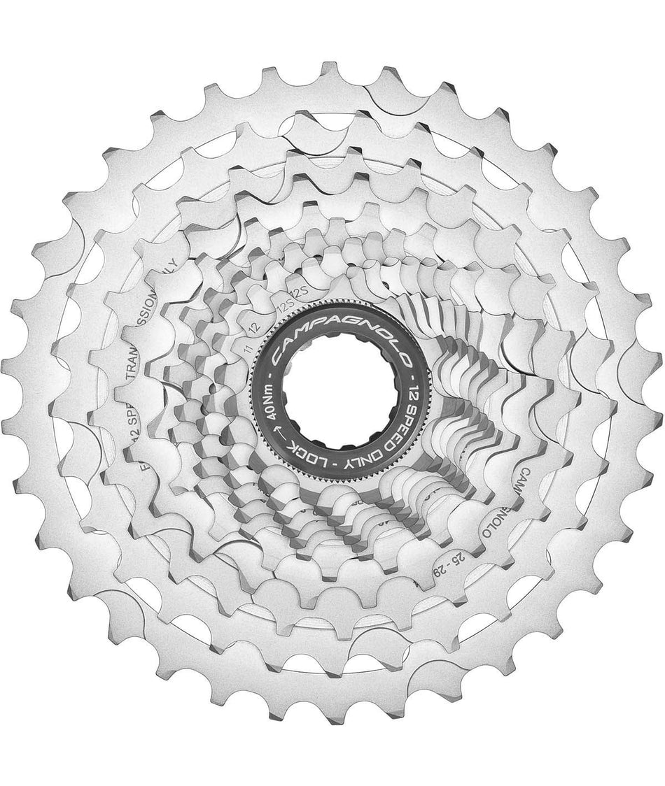 Pignoni Campagnolo Chorus 12v.