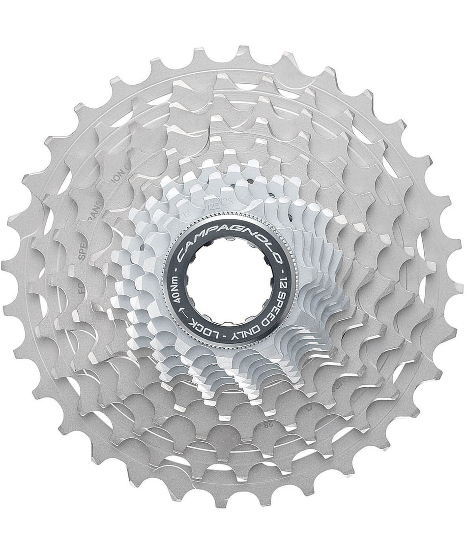 Pignoni Campagnolo Record/Super Record 12v.