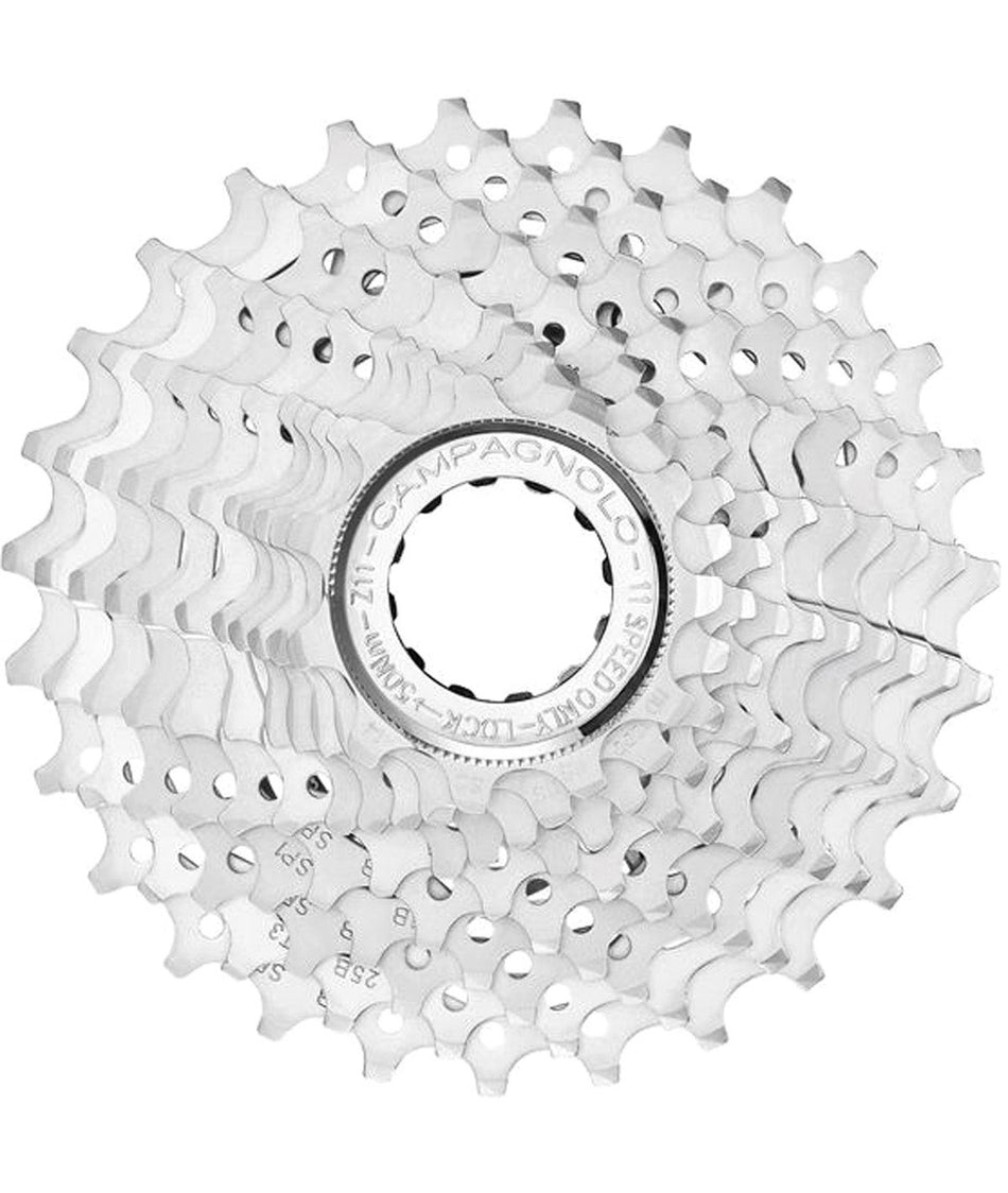 Pignoni Campagnolo Potenza 11v.