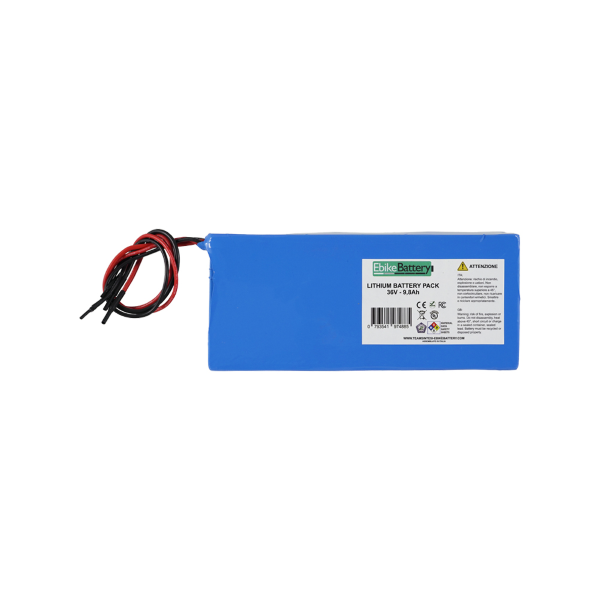 Ebike Battery - Pacco batterie al litio per e-bike 36V 9,8Ah