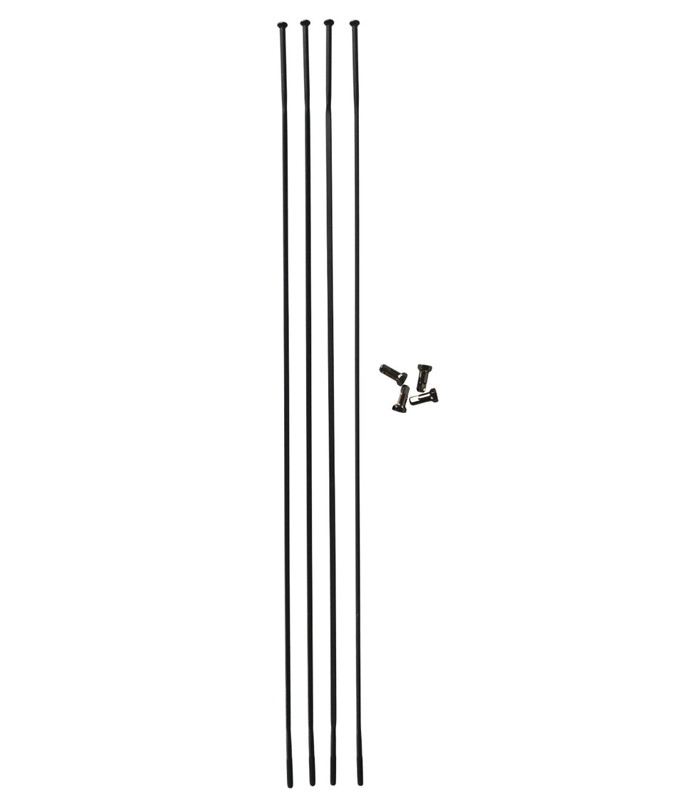 Kit raggi completi Fulcrum R3