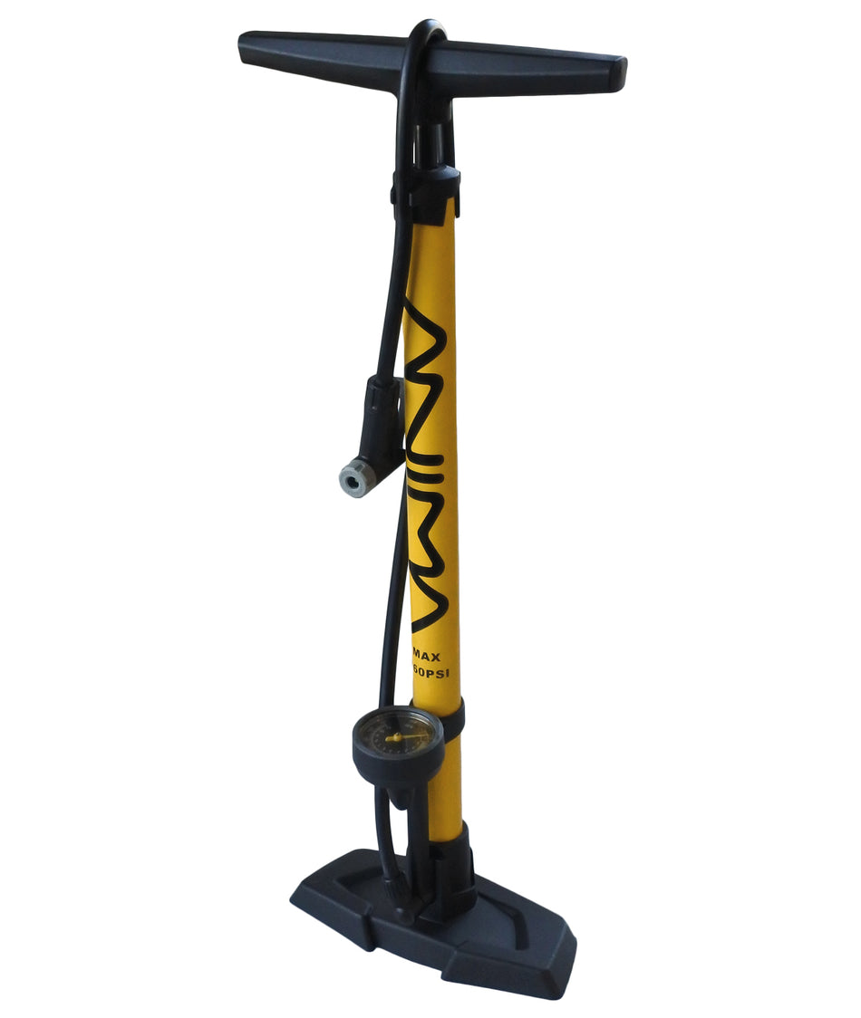 Pompa Anima da pavimento