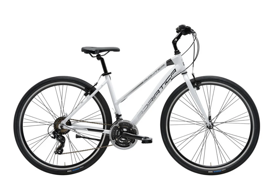 Adriatica - Boxter FY Lady