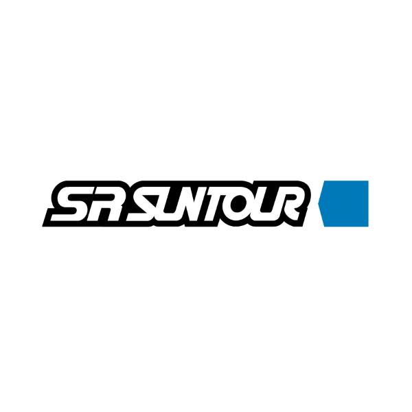 Sr Suntour - Foderi per AXON34-Elite Boost RLRC PCS 15QLC2Ti 110 - C44 CTS 29 SF20
