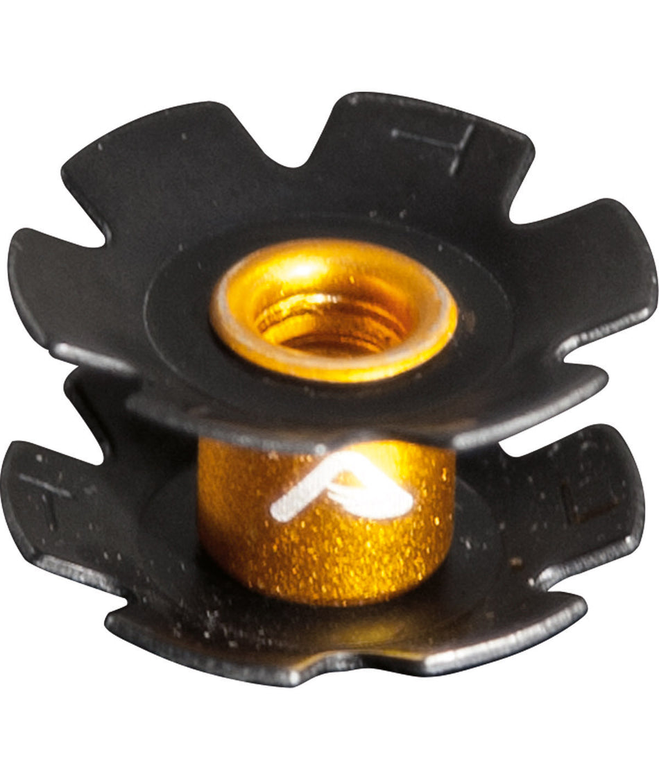 Ragnetto Anima per forcella