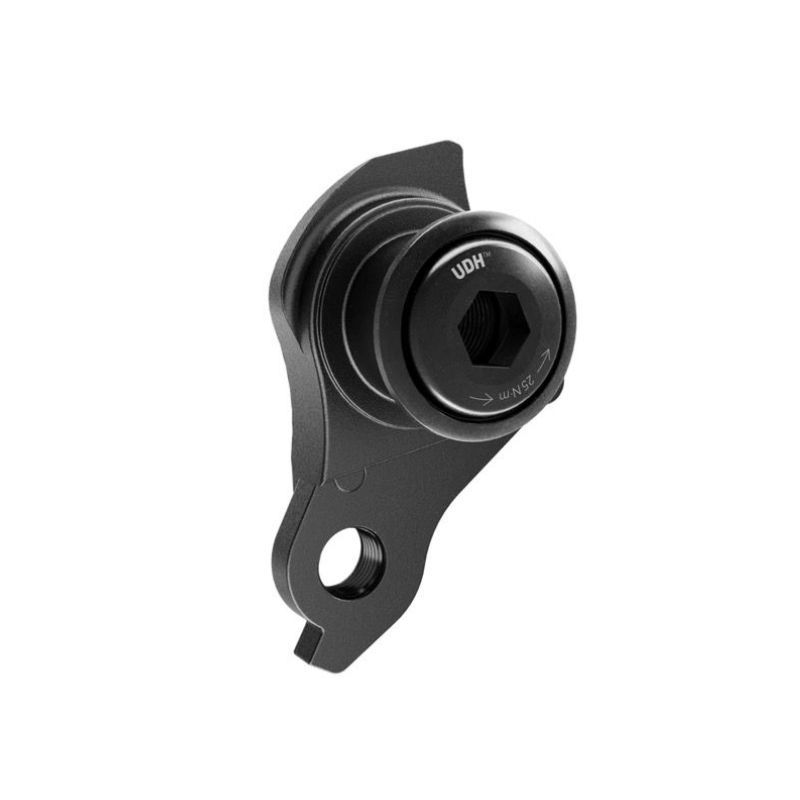 Forcellino Sram ABP UDH DS 20