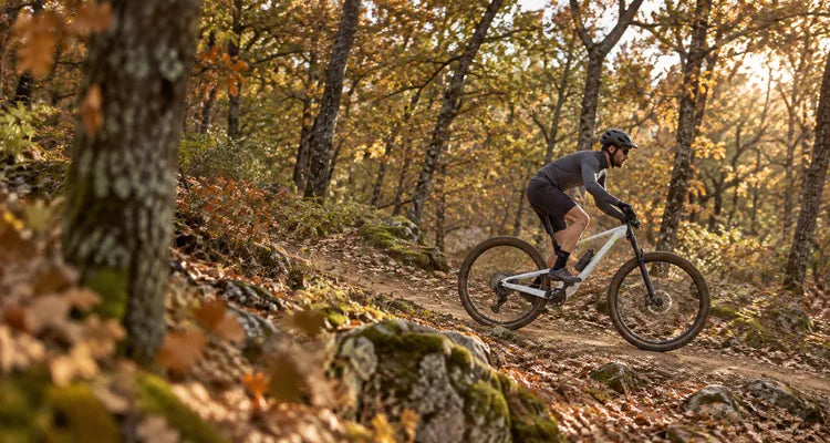 Mountainbikerin auf einem vollgefederten Mountainbike entlang eines Weges im herbstlichen Wald